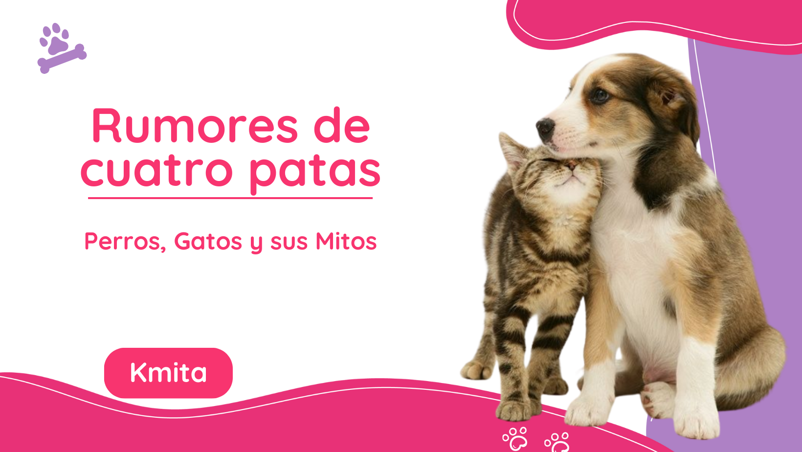 los gatos son mejores cazadores que los perros