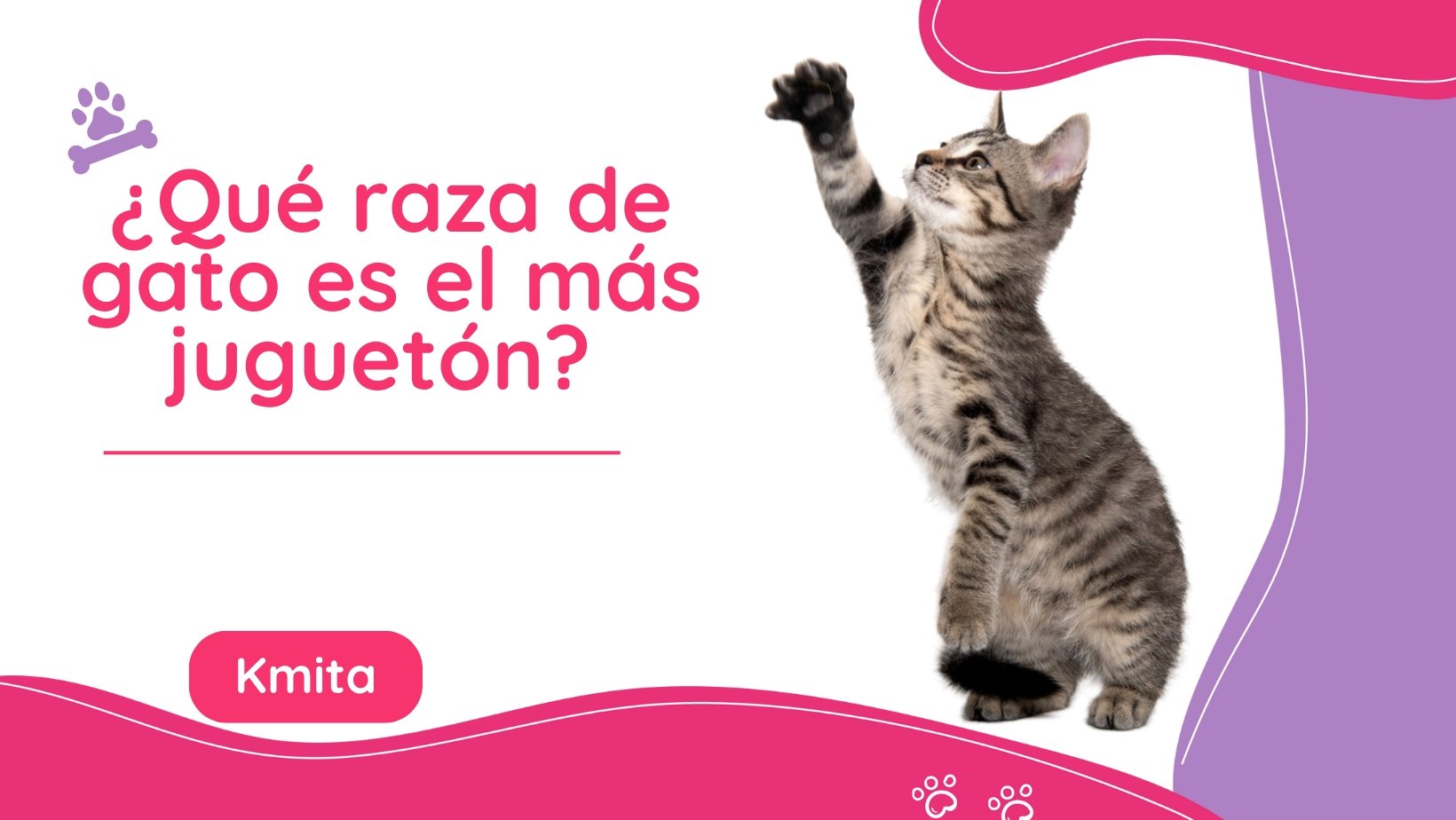 que es mas jugueton gatos o perros