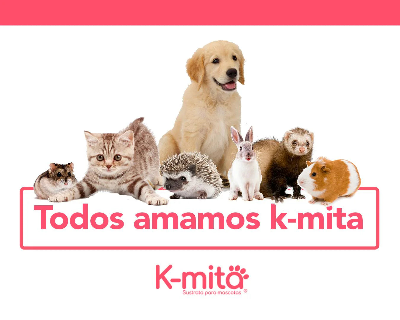 Arena para gato 100% Biodegradable y Natural.