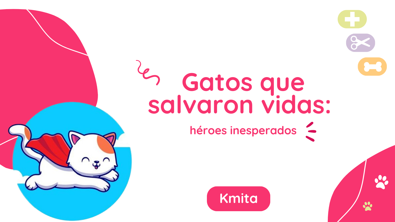 Gatos que salvaron vidas: héroes inesperados