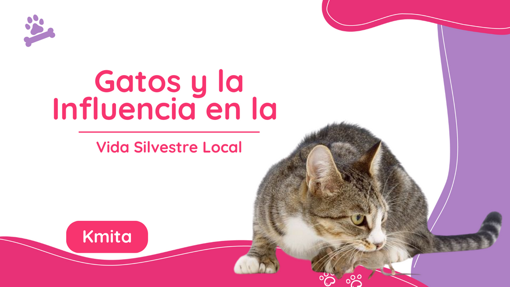Gatos y la Influencia en la Vida Silvestre Local