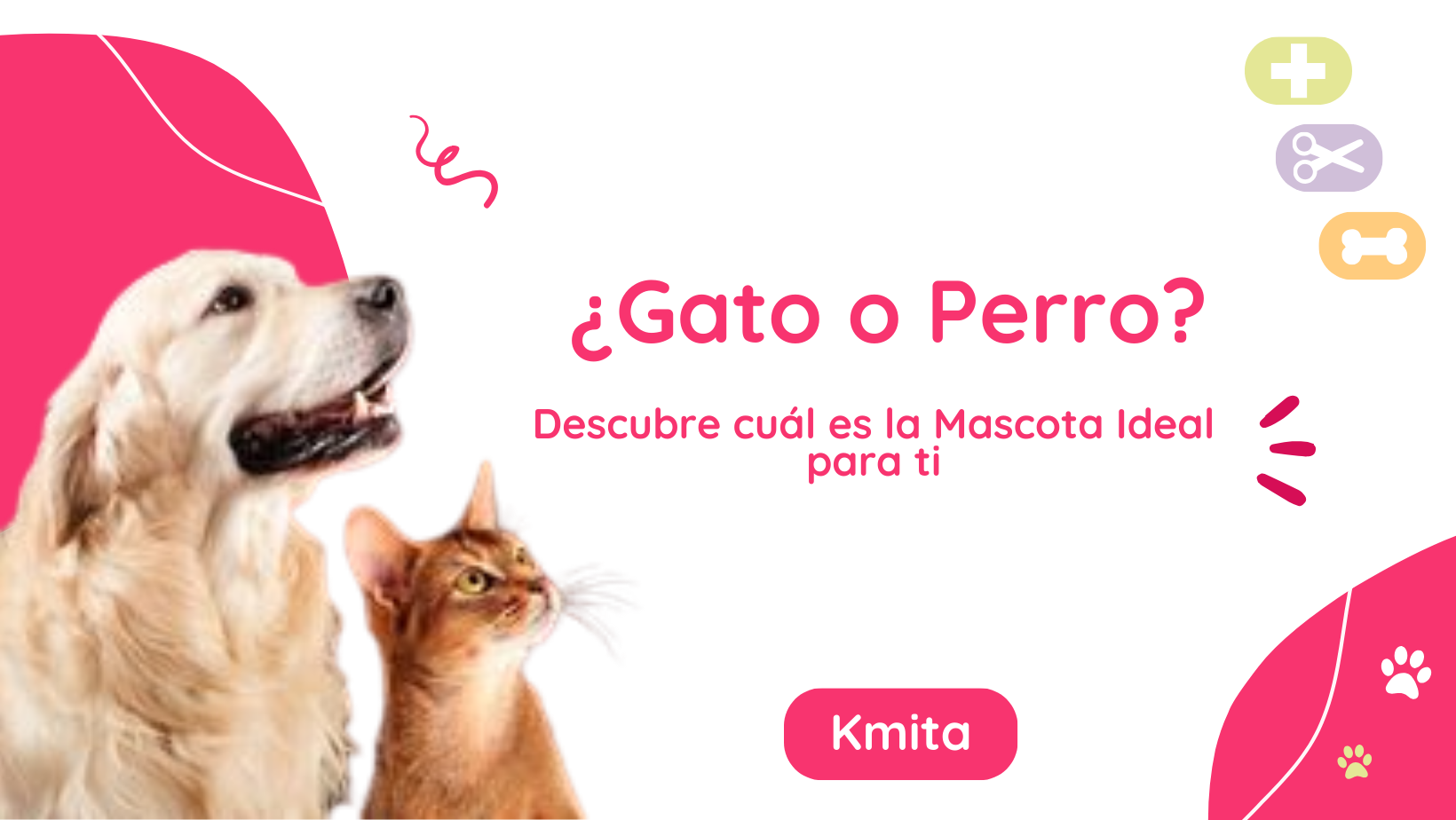 Saber cual es mi Mascota Ideal  ¿Gato o Perro?