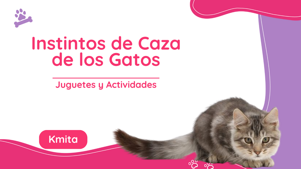 Instintos de Caza de los Gatos: Juguetes y Actividades