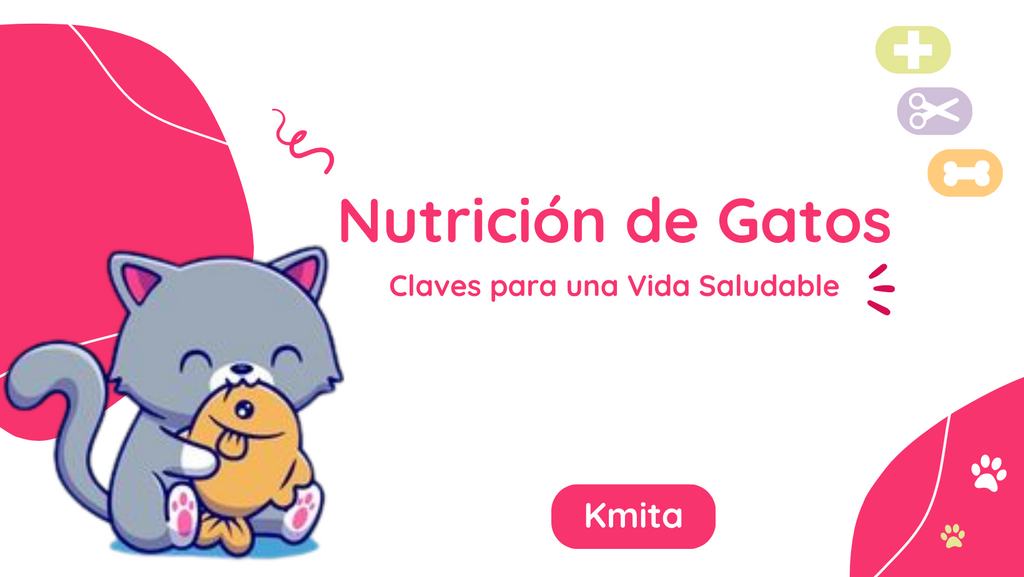 Nutrición de Gatos: Claves para una Vida Saludable