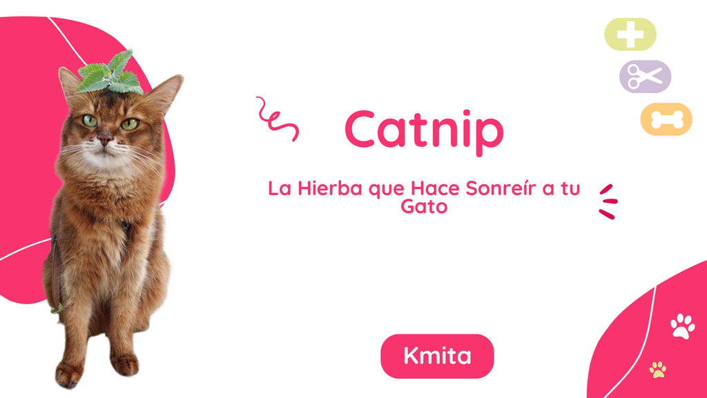 Catnip: La Hierba que Hace Sonreír a tu Gato