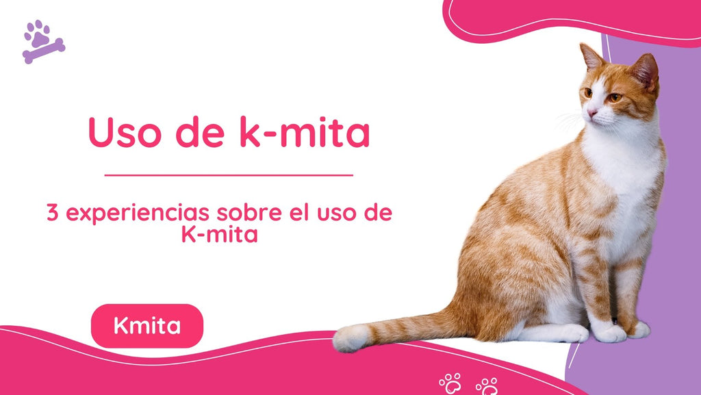 3 experiencias sobre el uso de Kmita que disfrutarás leer 😉