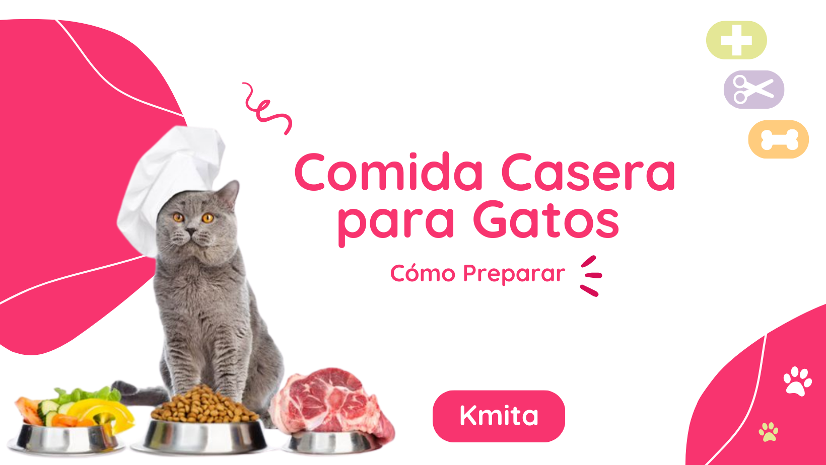 Cómo Preparar Comida Casera para Gatos