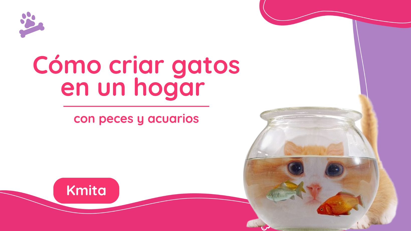 Cómo criar gatos en un hogar con peces y acuarios