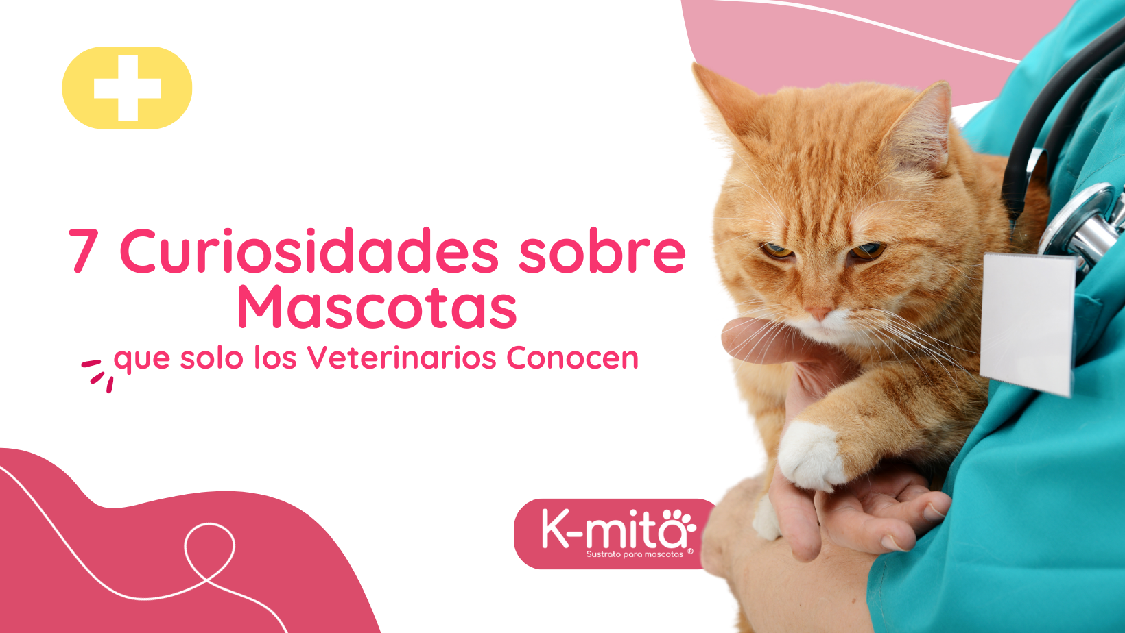 ¿Sabías Que...? 7 Curiosidades sobre Mascotas que Solo Conocen los Veterinarios