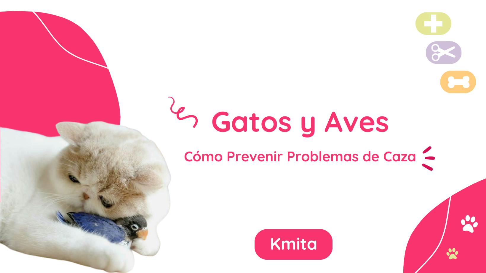 Gatos y Aves: Cómo Prevenir Problemas de Caza