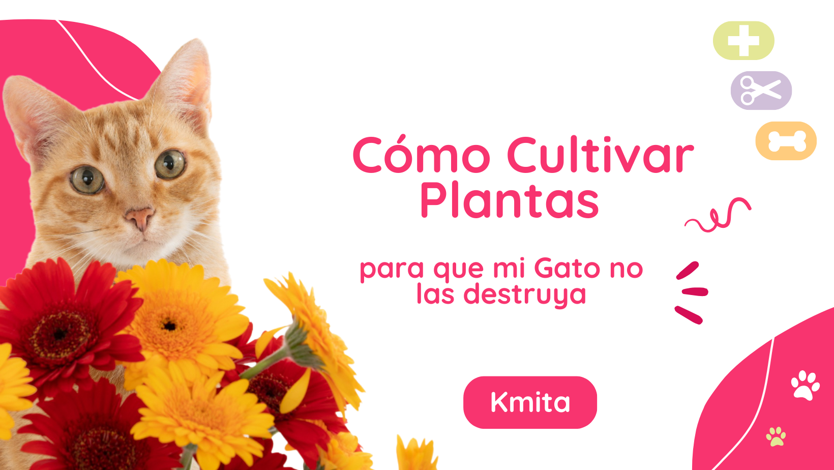 Cómo Cultivar Plantas para que mi Gato no las destruya.