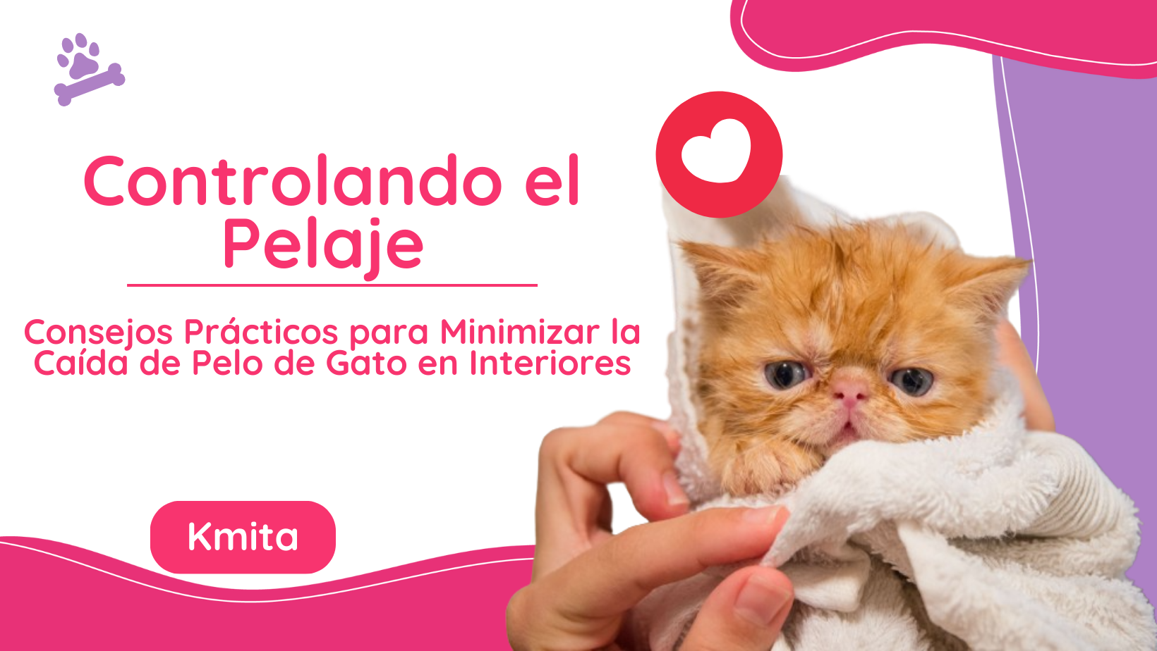 Consejos Prácticos para Minimizar la Caída de Pelo de Gato en Interiores