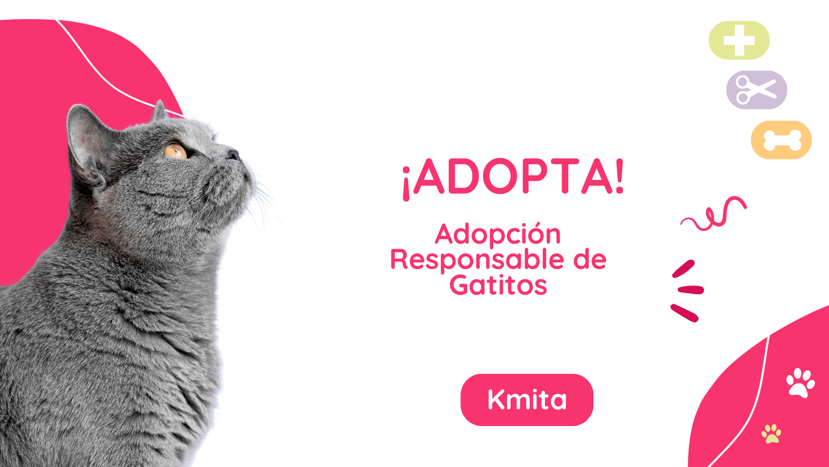 Adopción Responsable de Gatitos