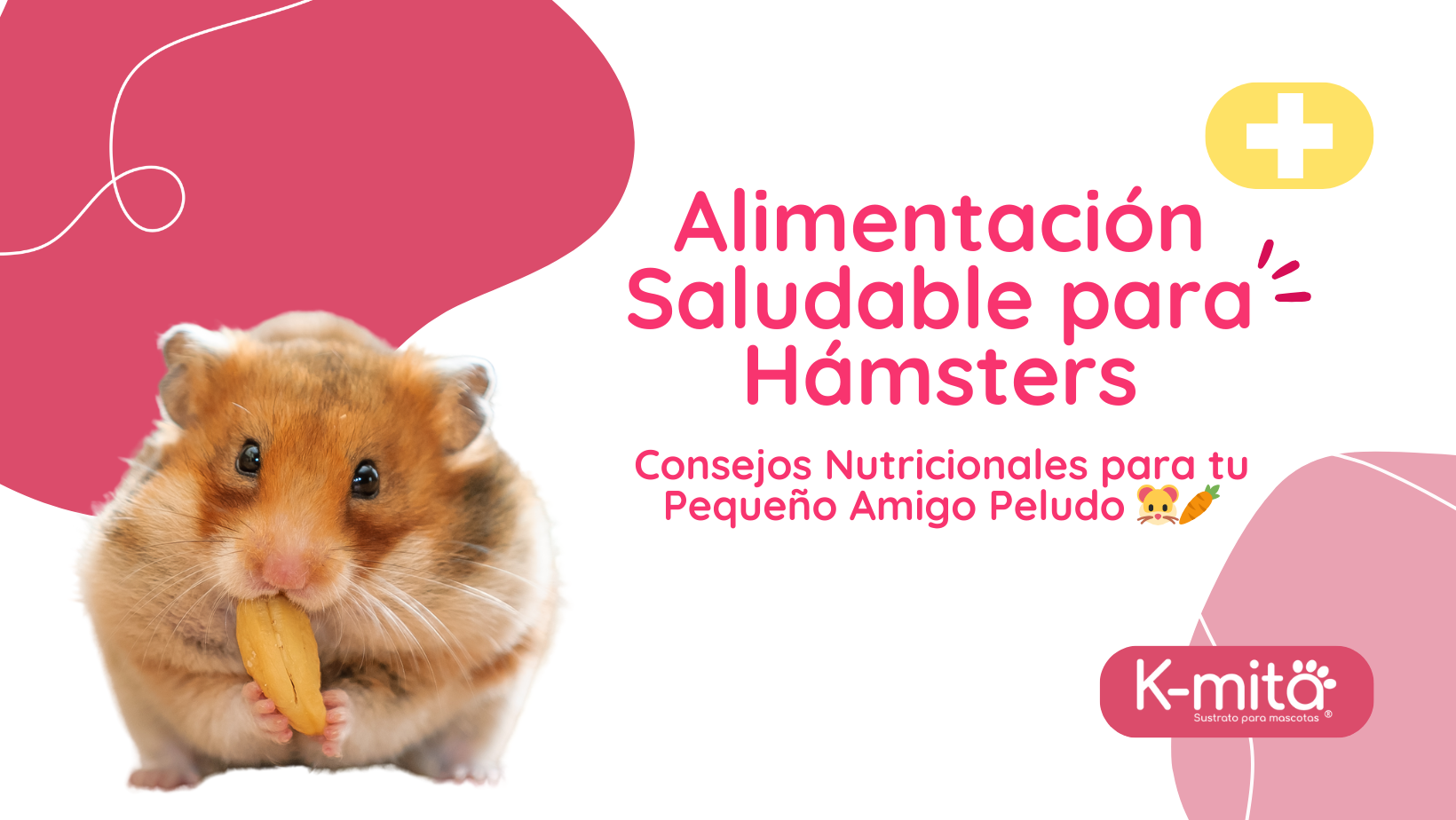 Alimentación Saludable para Hámsters: Consejos Nutricionales para tu Pequeño Amigo Peludo 🐹🥕