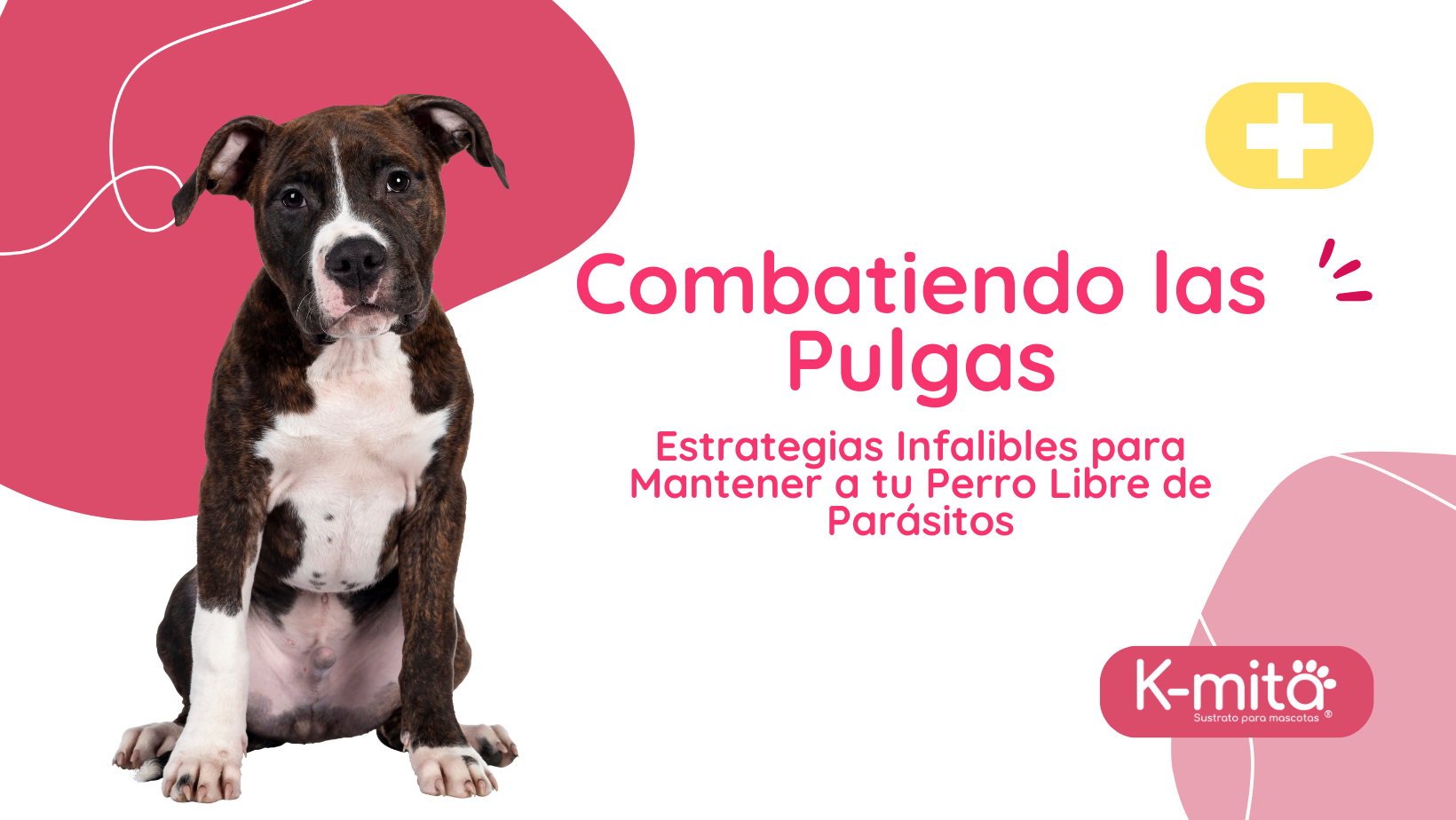 Combatiendo las Pulgas: Estrategias Infalibles para Mantener a tu Perro Libre de Parásitos 🐶🚫