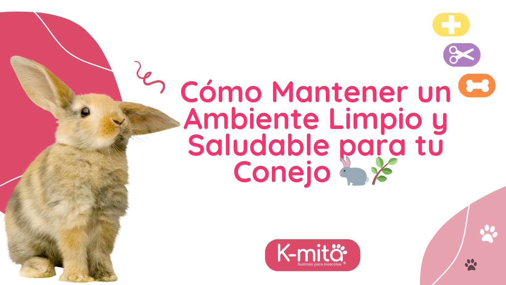 Cómo Mantener un Ambiente Limpio y Saludable para tu Conejo 🐇🌿
