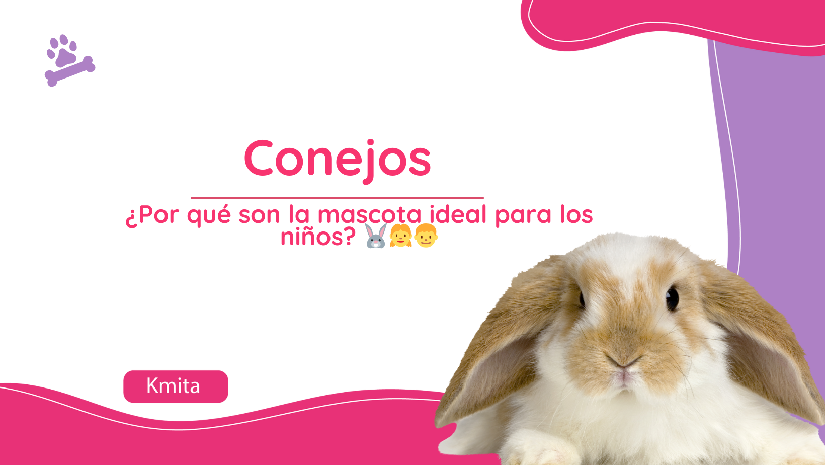 Conejos: ¿Por qué son la mascota ideal para los niños? 🐰👧👦