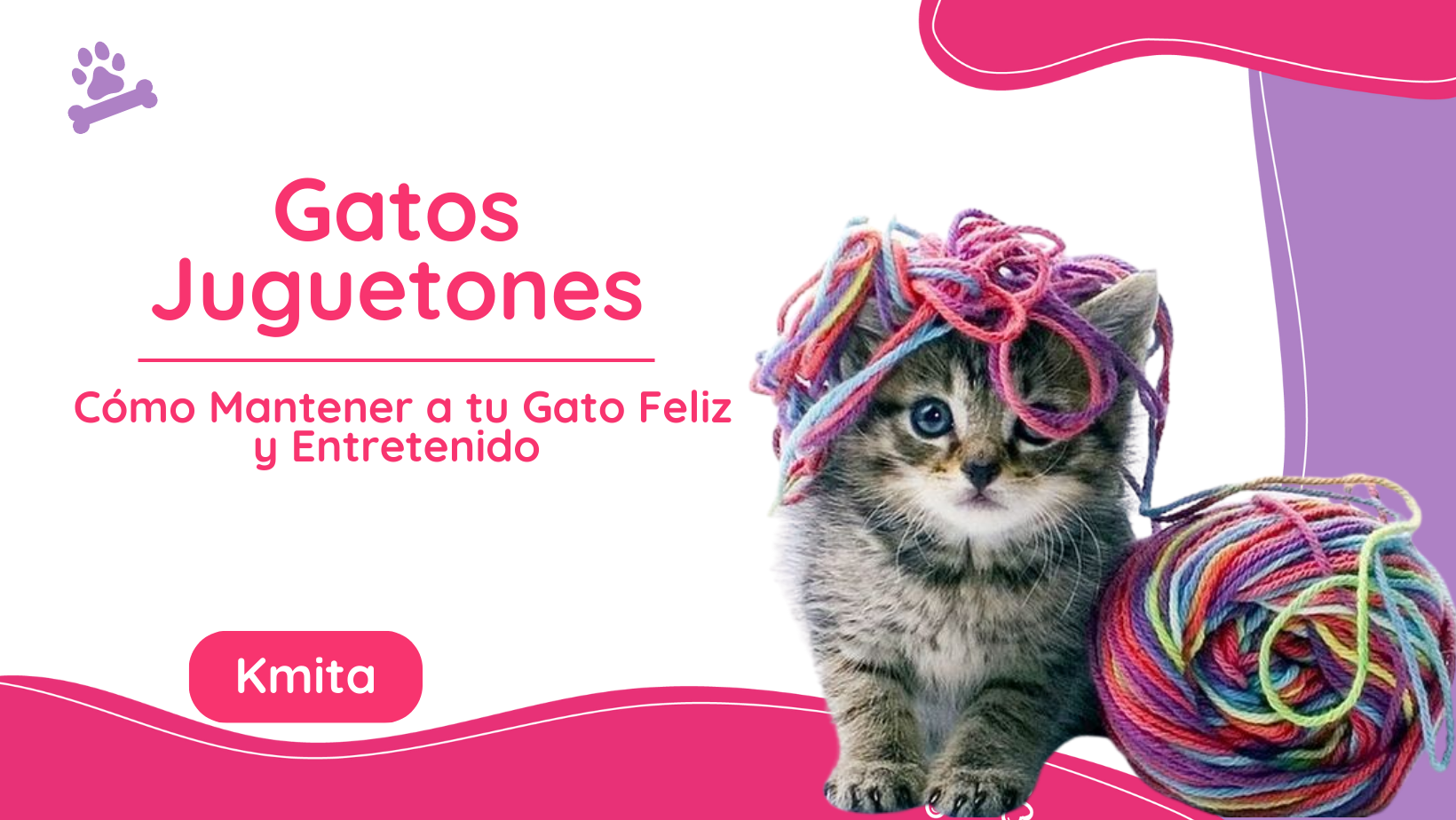 Gatos Juguetones: Cómo Mantener a tu Gato Feliz y Entretenido