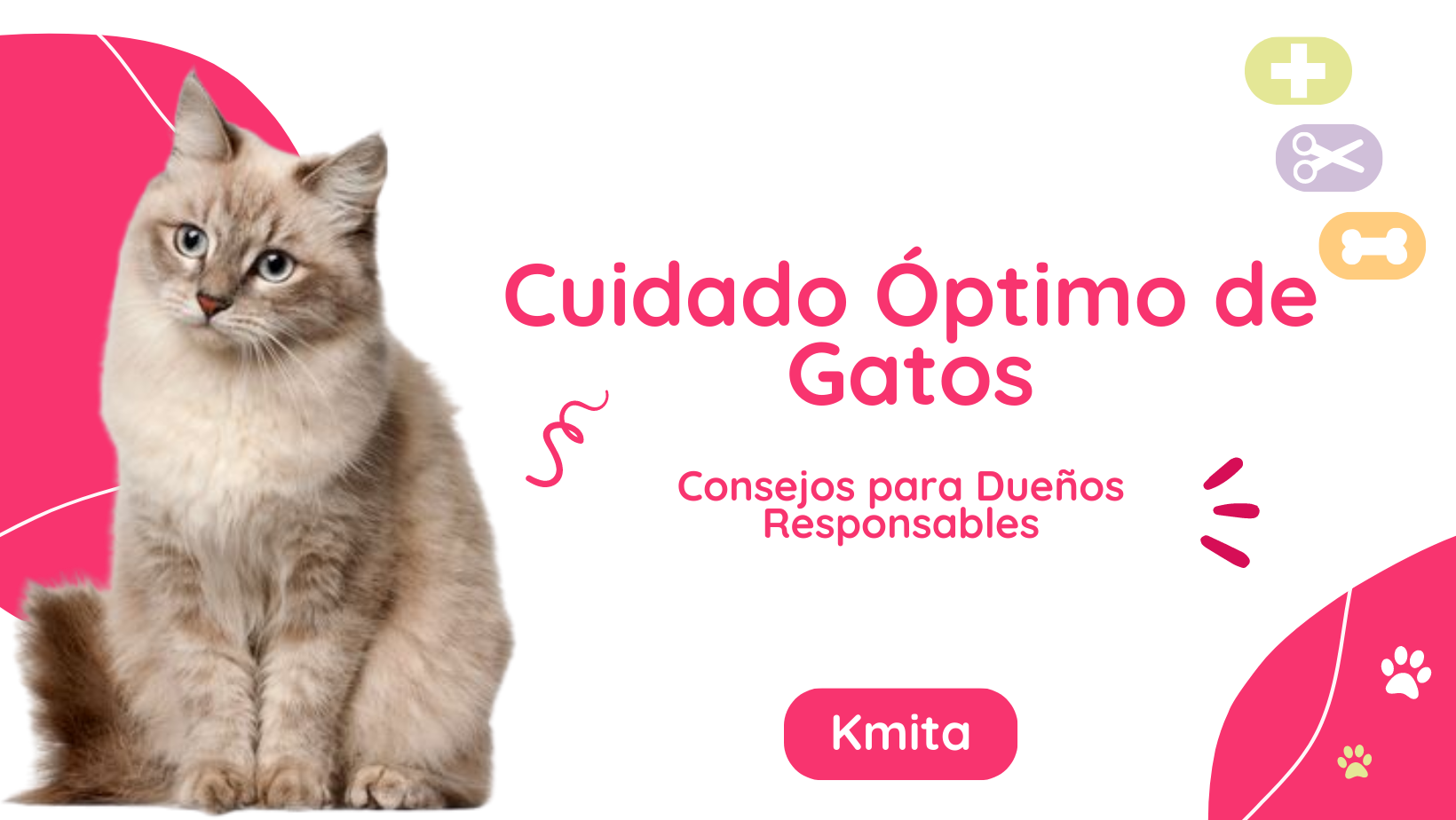 Cuidado Óptimo de Gatos: Consejos para Dueños Responsables