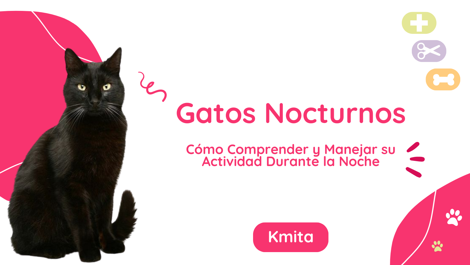 Gatos Nocturnos: Cómo Comprender y Manejar su Actividad Durante la Noche