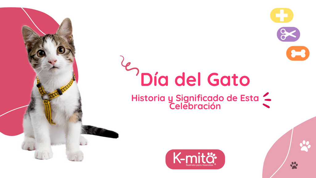 Día del Gato: Historia y Significado de Esta Celebración