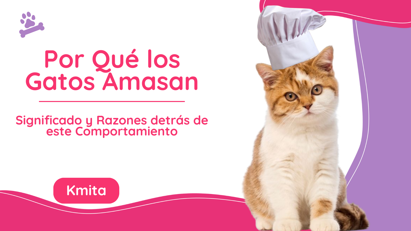 Por Qué los Gatos Amasan: Significado y Razones detrás de este Comportamiento