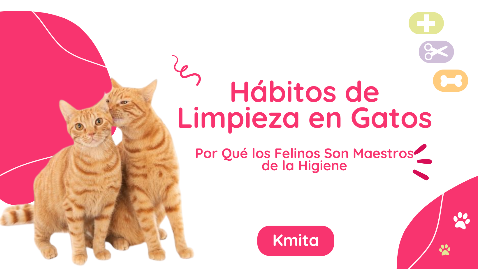 Hábitos de Limpieza en Gatos: Por Qué los Felinos Son Maestros de la Higiene