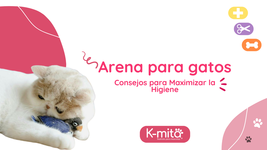 Arenas para Gatos: Consejos para Maximizar la Higiene