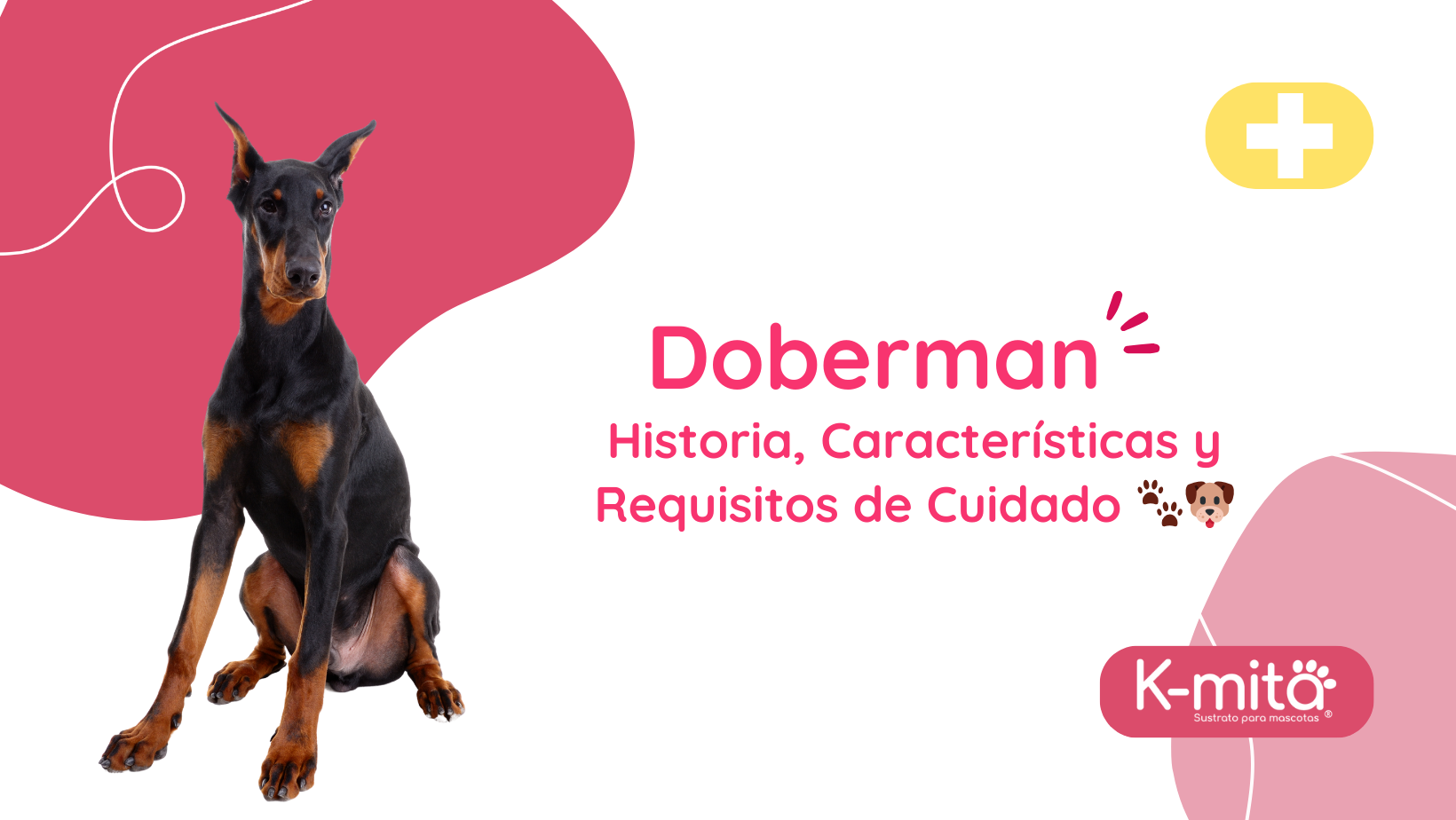 Doberman: Historia, Características y Requisitos de Cuidado 🐾🐶