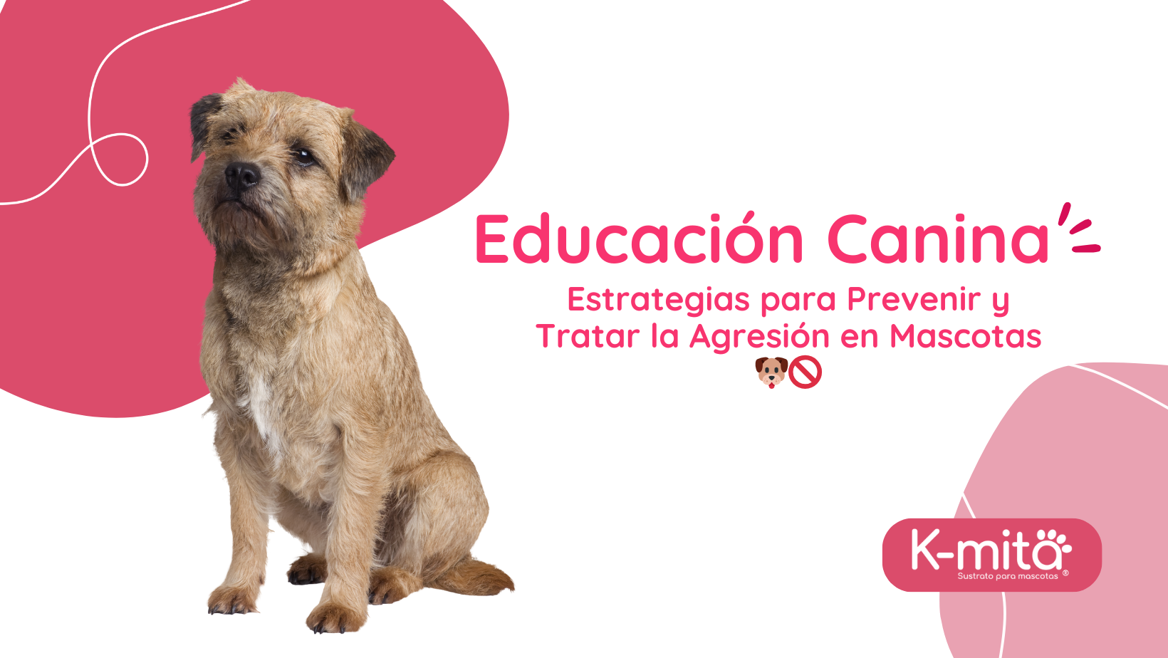 Educación Canina: Estrategias para Prevenir y Tratar la Agresión en Mascotas 🐶🚫