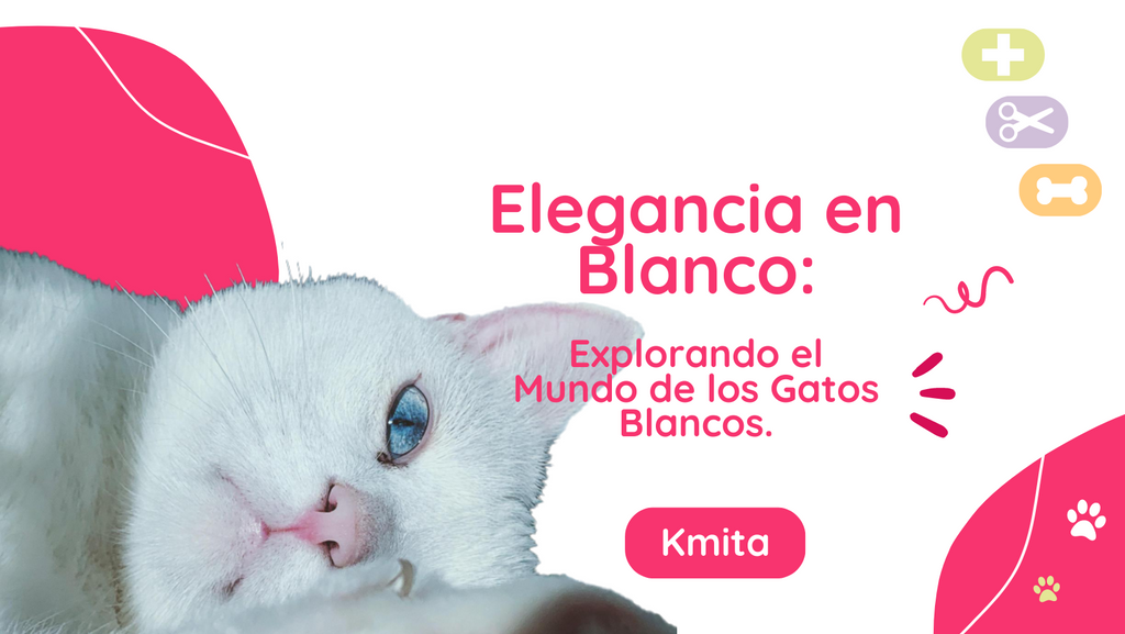 Curiosidades de los gatos blancos: Explorando el Mundo de los Gatos Blancos.