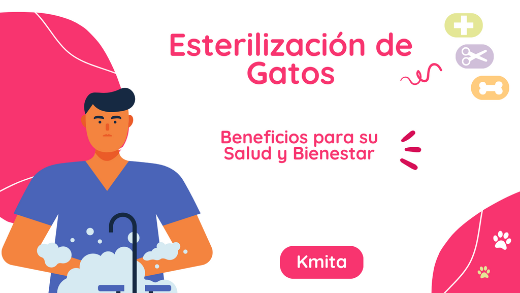 Esterilización de Gatos