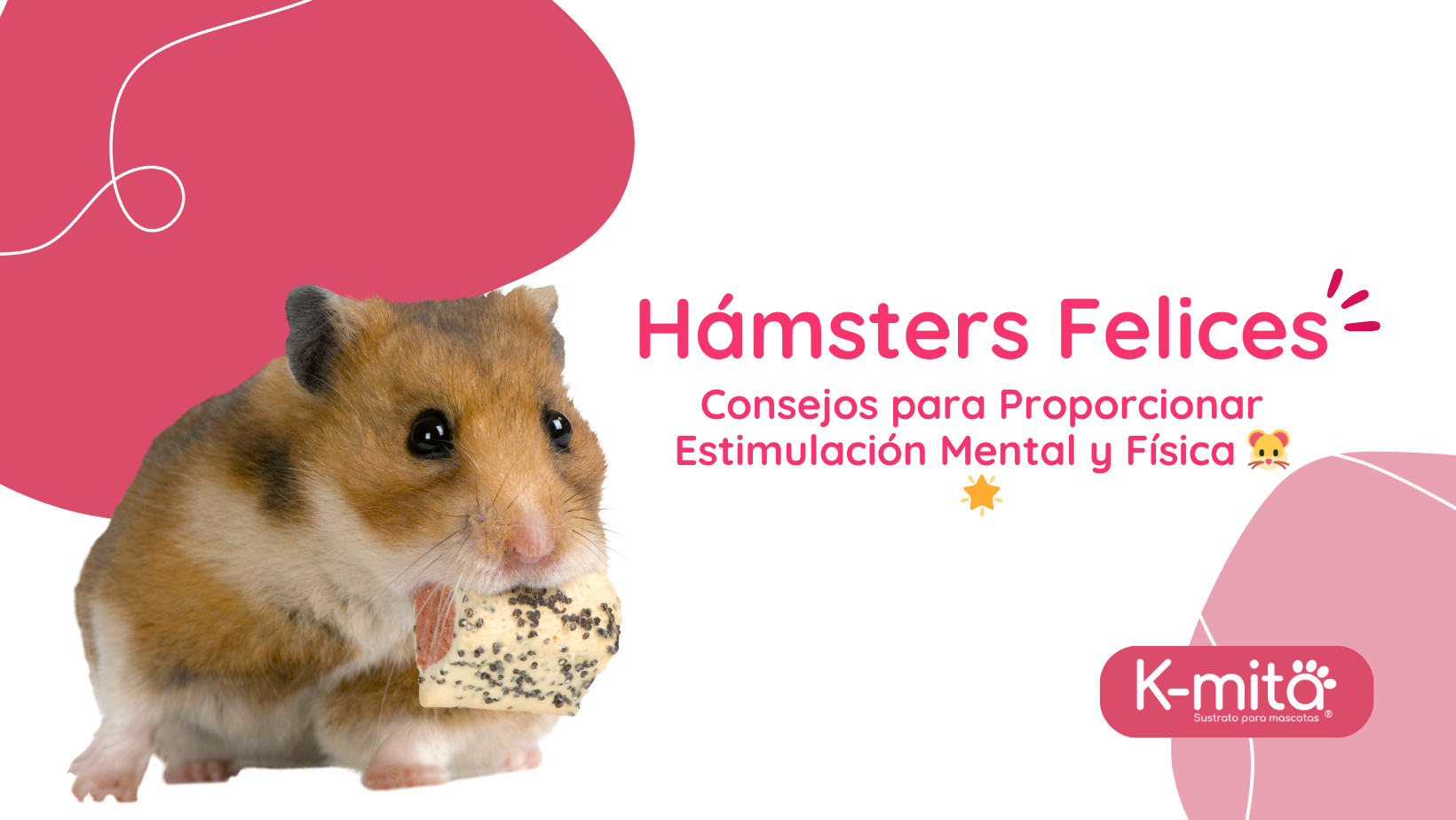 Hámsters Felices: Consejos para Proporcionar Estimulación Mental y Física 🐹🌟