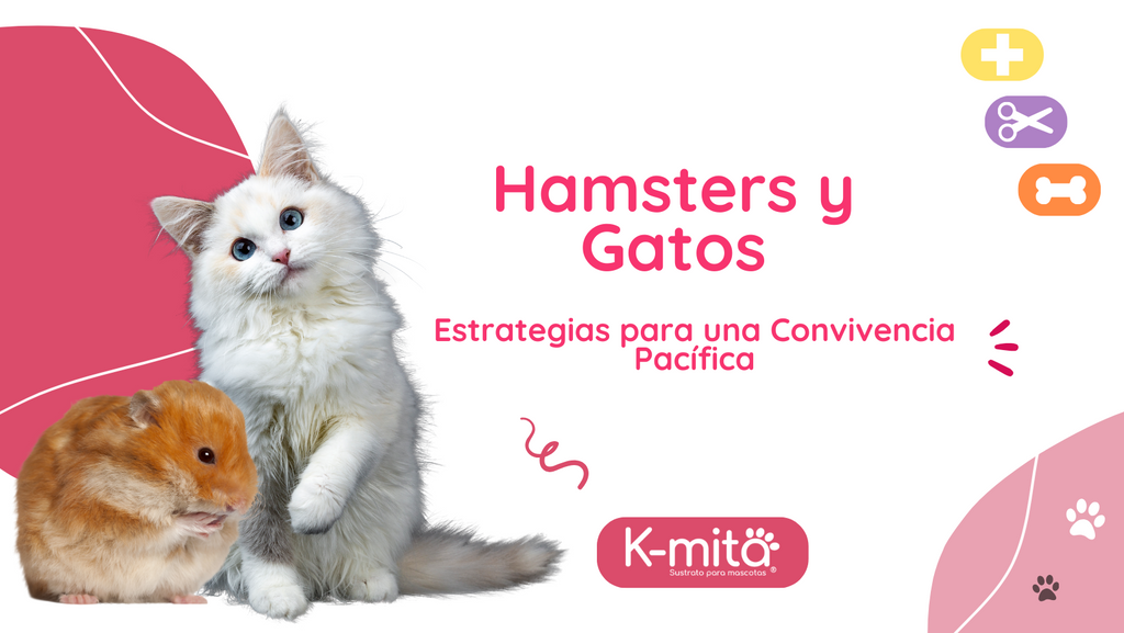 Hamsters y Gatos: Estrategias para una Convivencia Pacífica 🐹🐱