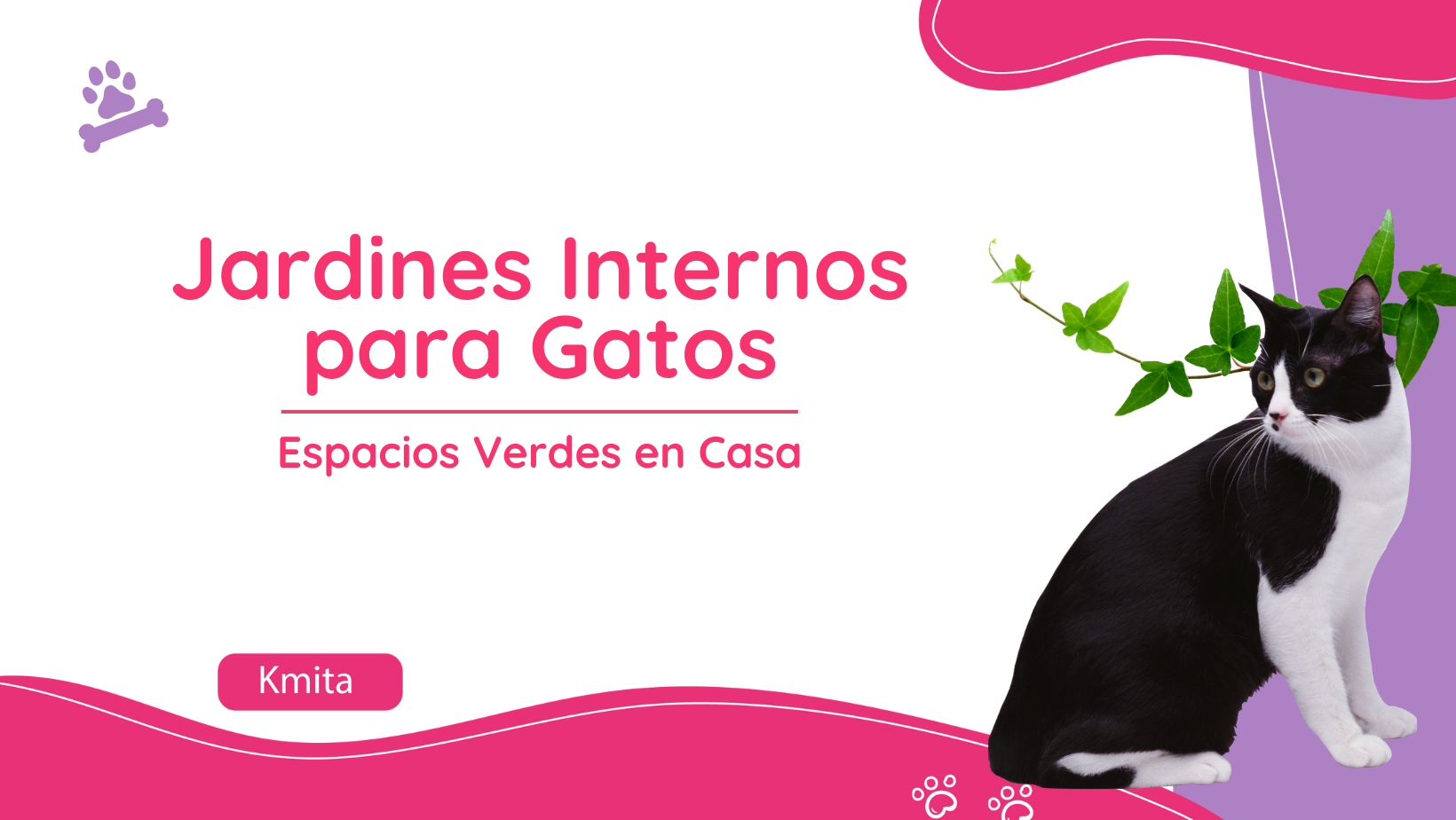 Jardines Internos para Gatos: Espacios Verdes en Casa