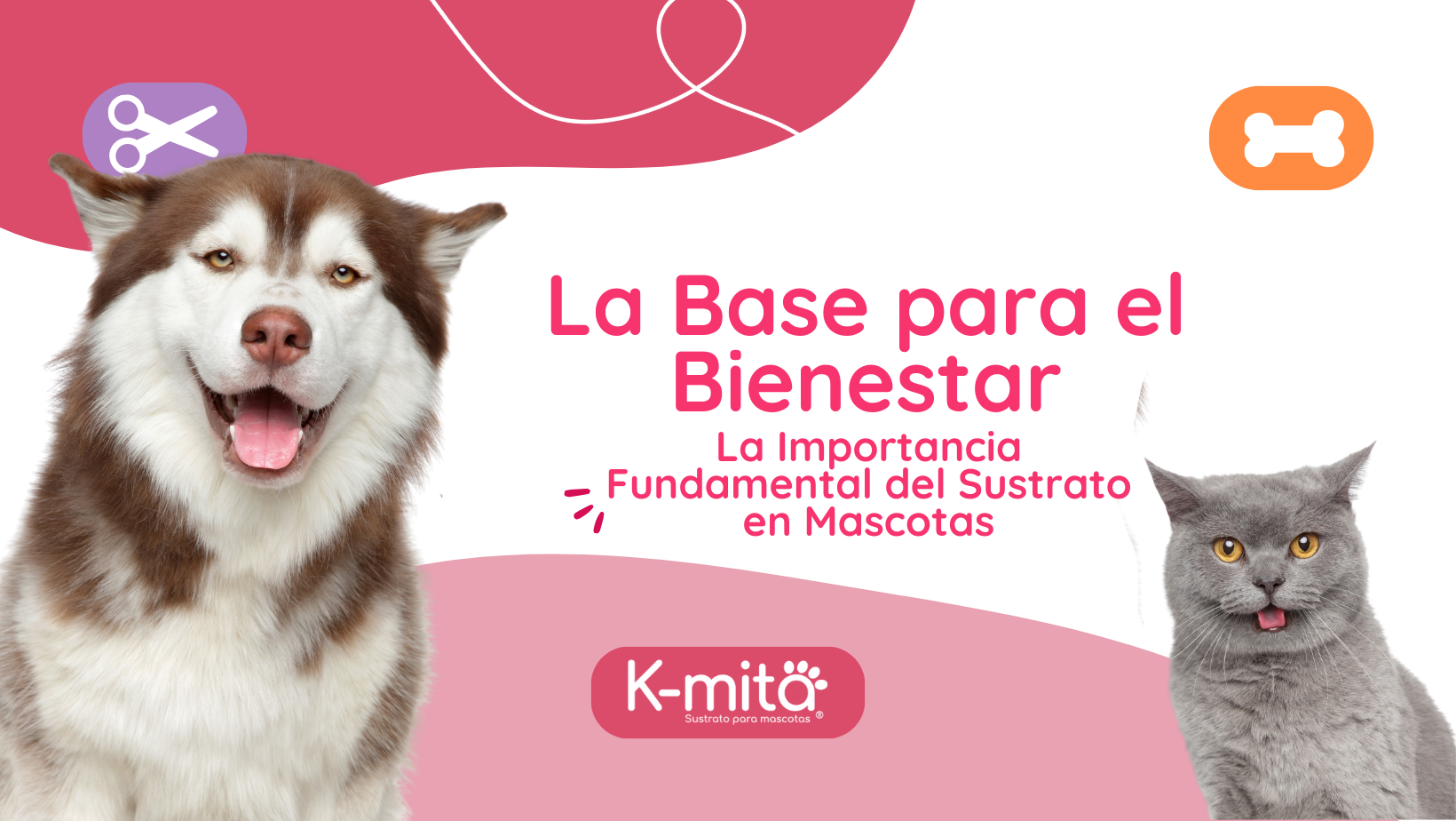 La Base para el Bienestar: La Importancia Fundamental del Sustrato en Mascotas