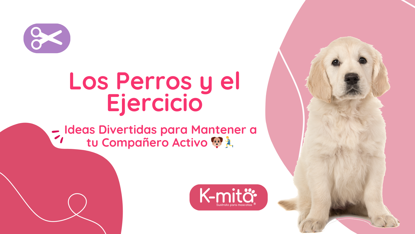 Los Perros y el Ejercicio: Ideas Divertidas para Mantener a tu Compañero Activo 🐶🏃‍♂️