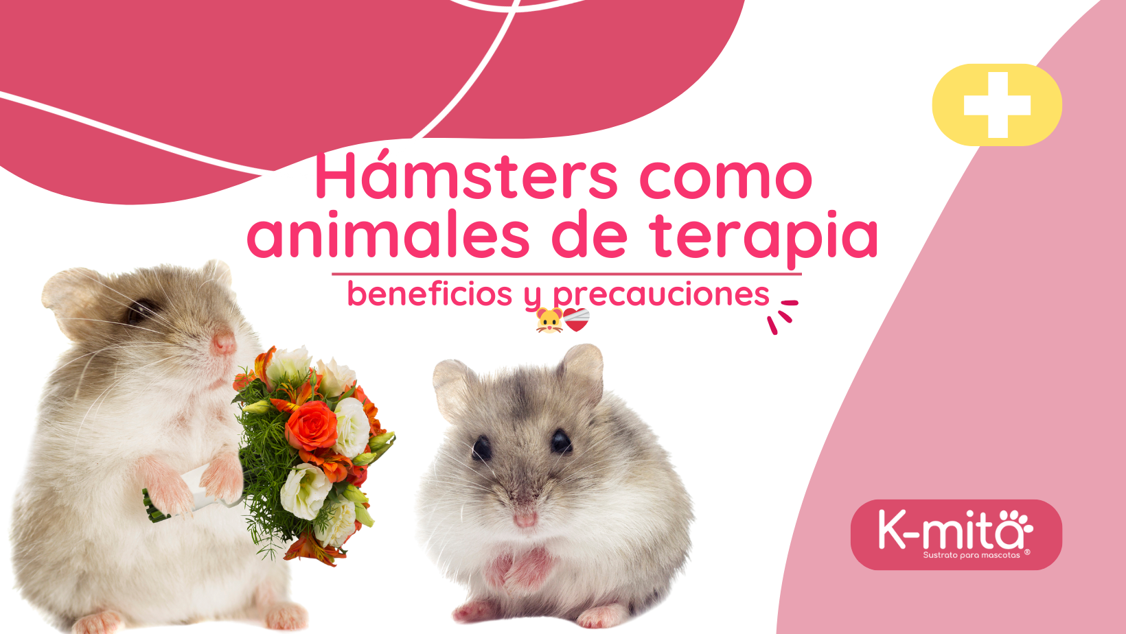 Hamsters como animales de terapia