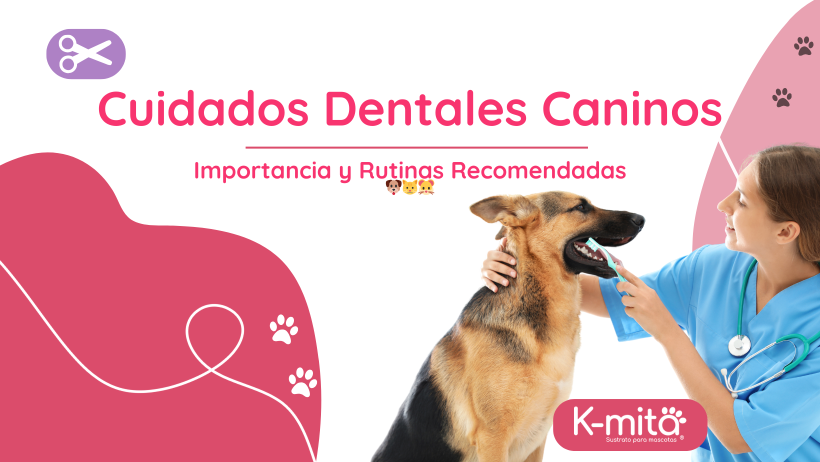 Una persona cepillando los dientes de su perro