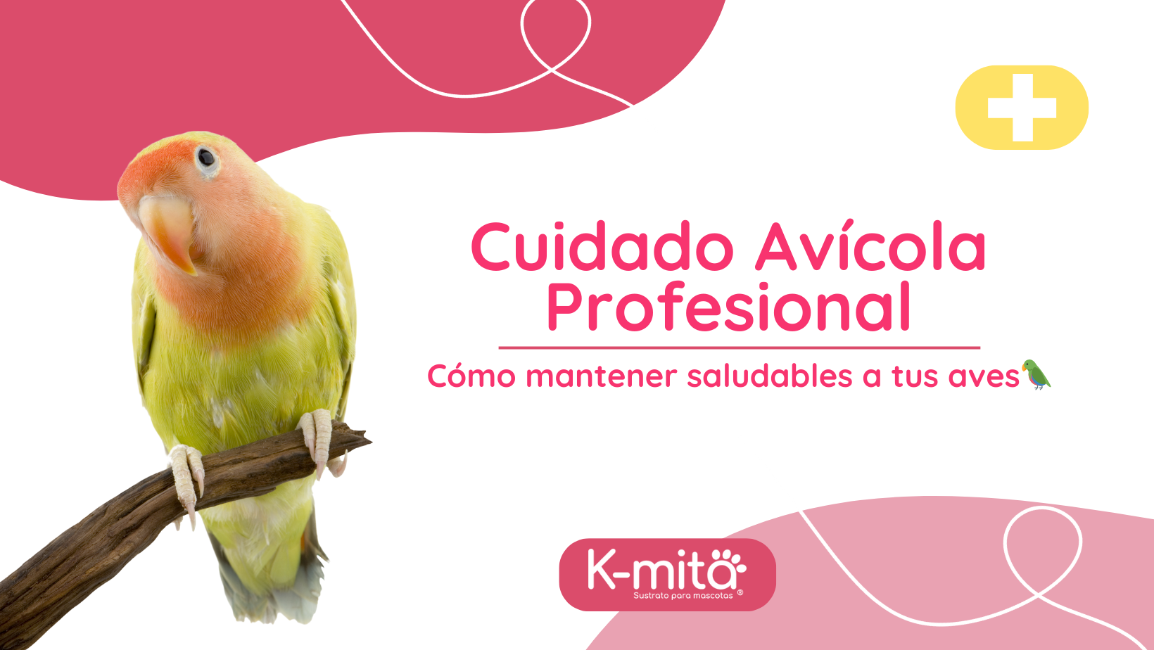 Cuidado Avícola Profesional: Cómo Mantener Saludables a tus Aves