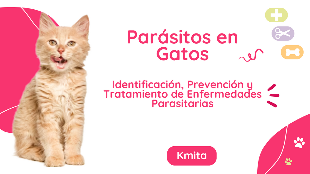 Parásitos en Gatos