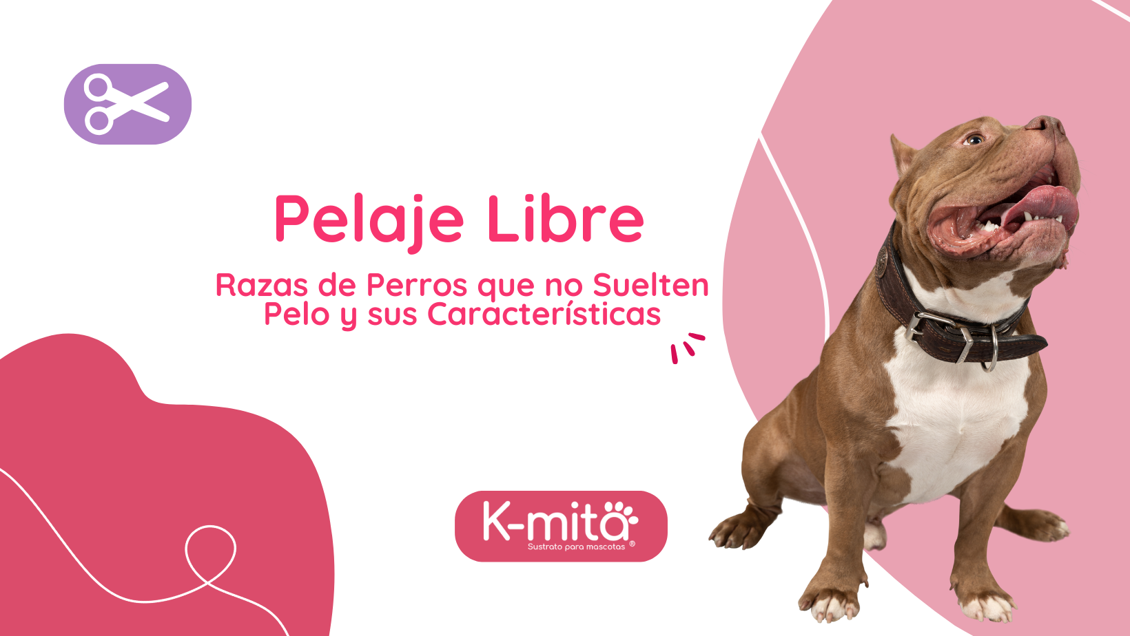 Pelaje Libre: Razas de Perros que no Suelten Pelo y sus Características