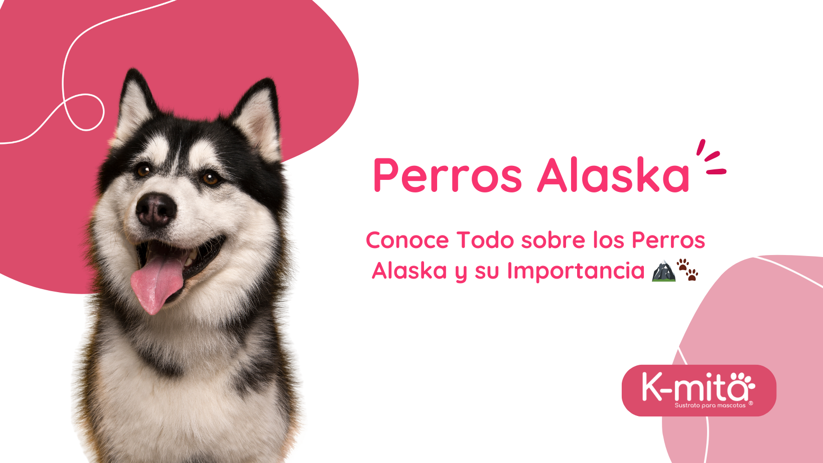 Perro alaska