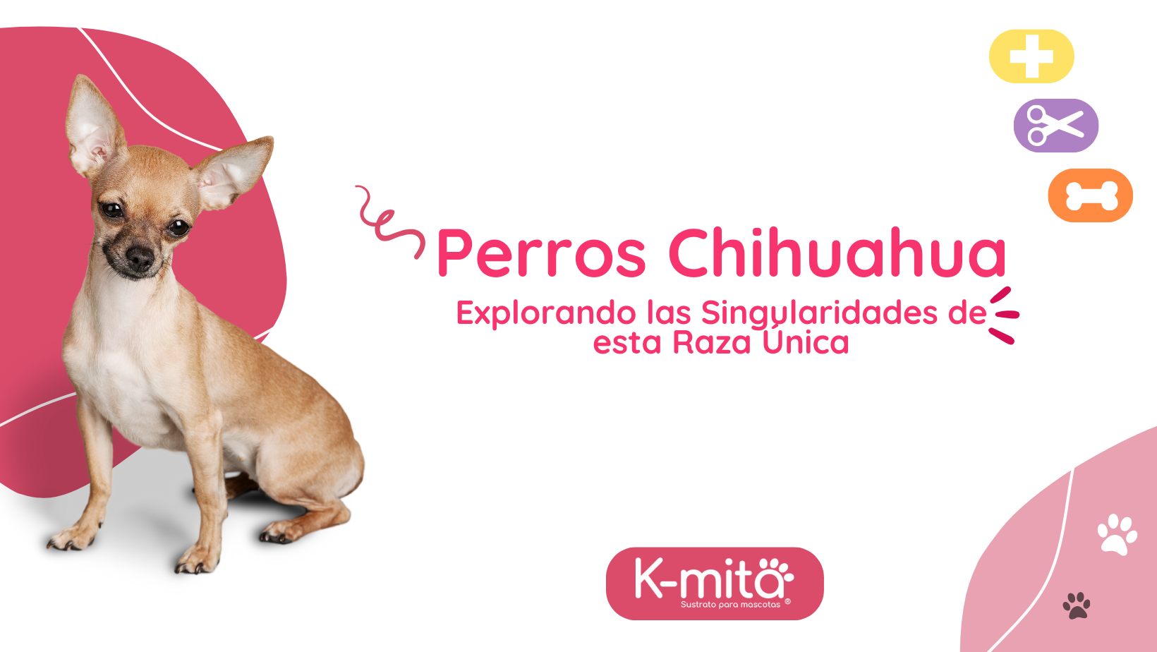 Lista De Razas De Chihuahua Estas Son 10 Tipos De Razas De Perros