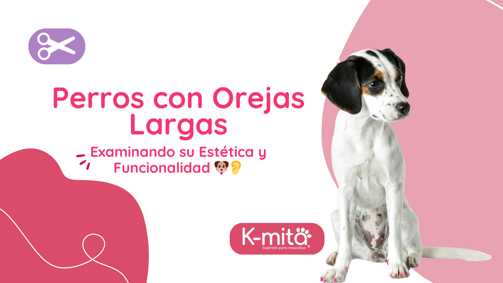 Perros con Orejas Largas: Examinando su Estética y Funcionalidad 🐶👂