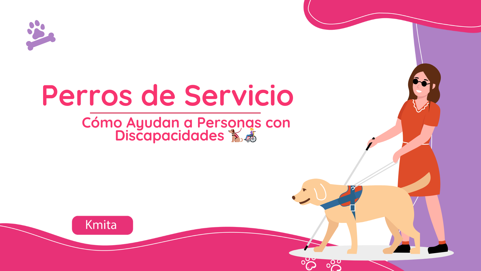 Perros de Servicio: Cómo Ayudan a Personas con Discapacidades 🐕‍🦺👩‍🦽