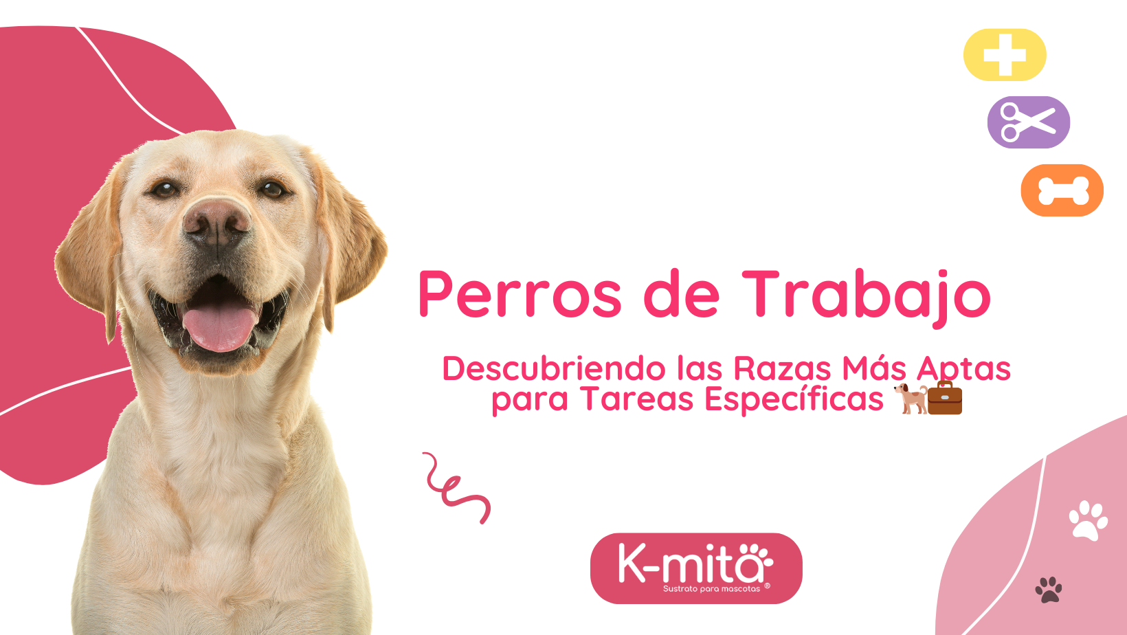 Perros de Trabajo: Descubriendo las Razas Más Aptas para Tareas Específicas 🐕💼