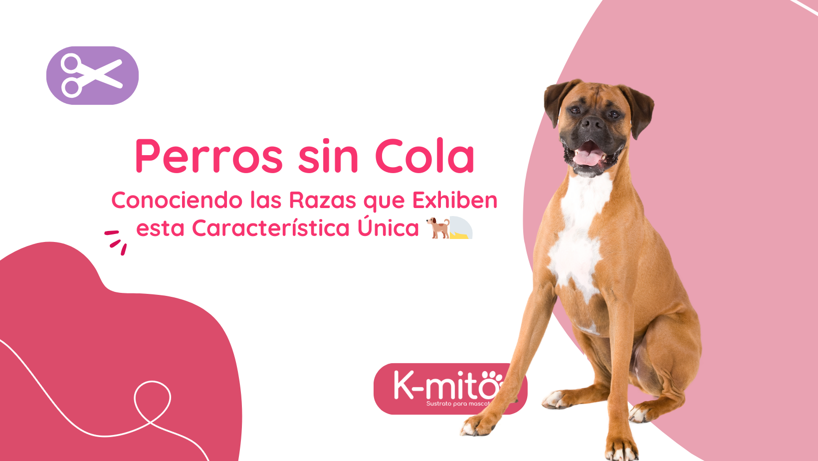 Perros sin Cola: Conociendo las Razas que Exhiben esta Característica Única 🐕‍🦳