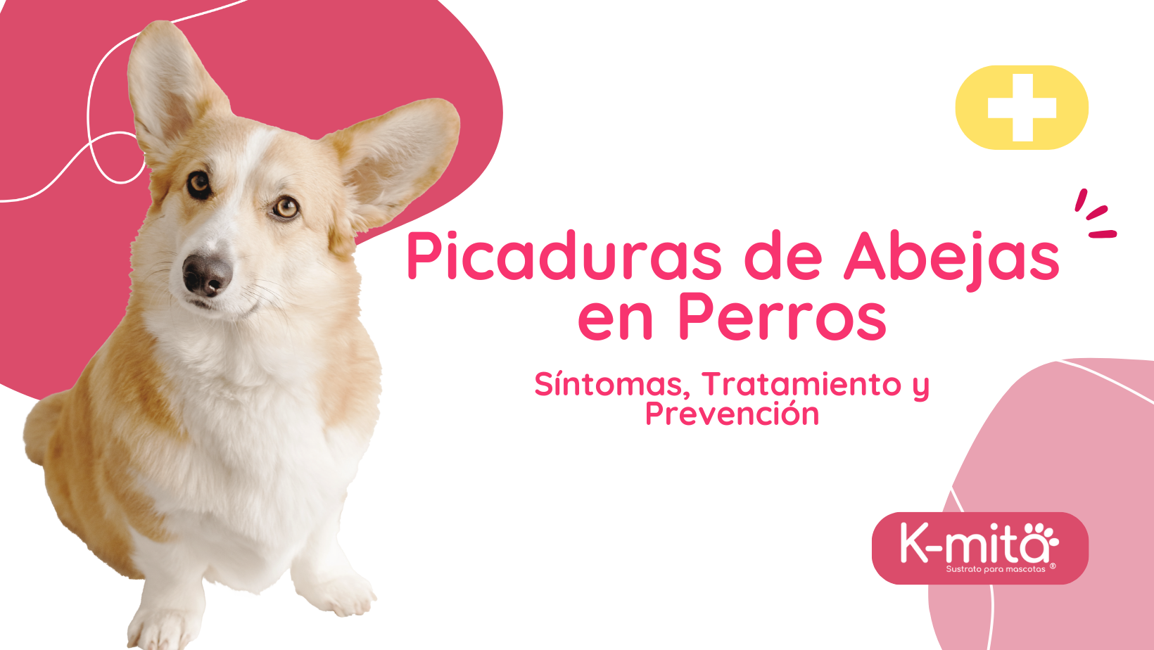Picaduras de Abejas en Perros: Síntomas, Tratamiento y Prevención