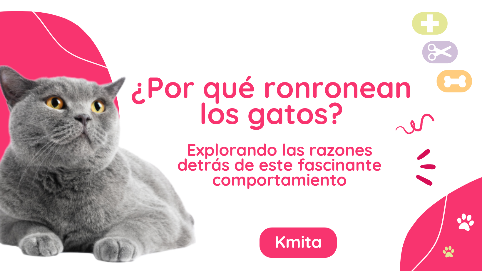 ¿Por qué ronronean los gatos?